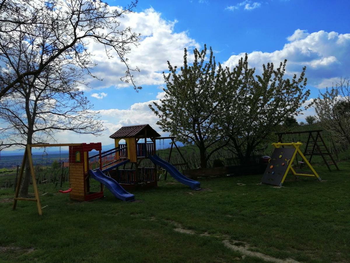 Guesthouse Prenocisca Sirec Ptuj Exterior photo